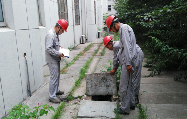 1658545054948069.jpg a6dc3b9b-c963-4c03-82fb-2a9455f2f221.jpg