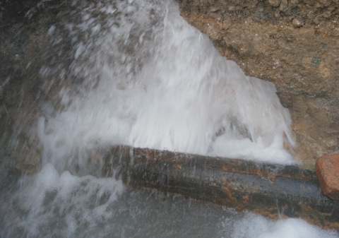 1658806017546288.jpg 4acedb0a-7f71-4dee-bc0a-89ff7e5303fb.jpg