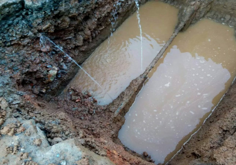 1658806289755149.jpg b85dac10-7551-43d6-947c-4e8f31bb300f.jpg